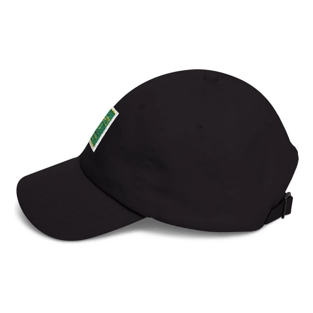 Lights up · expectations down, Embroidered dad hat