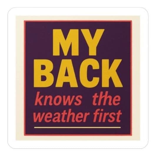 My back knows the weather, 8" car/laptop decal