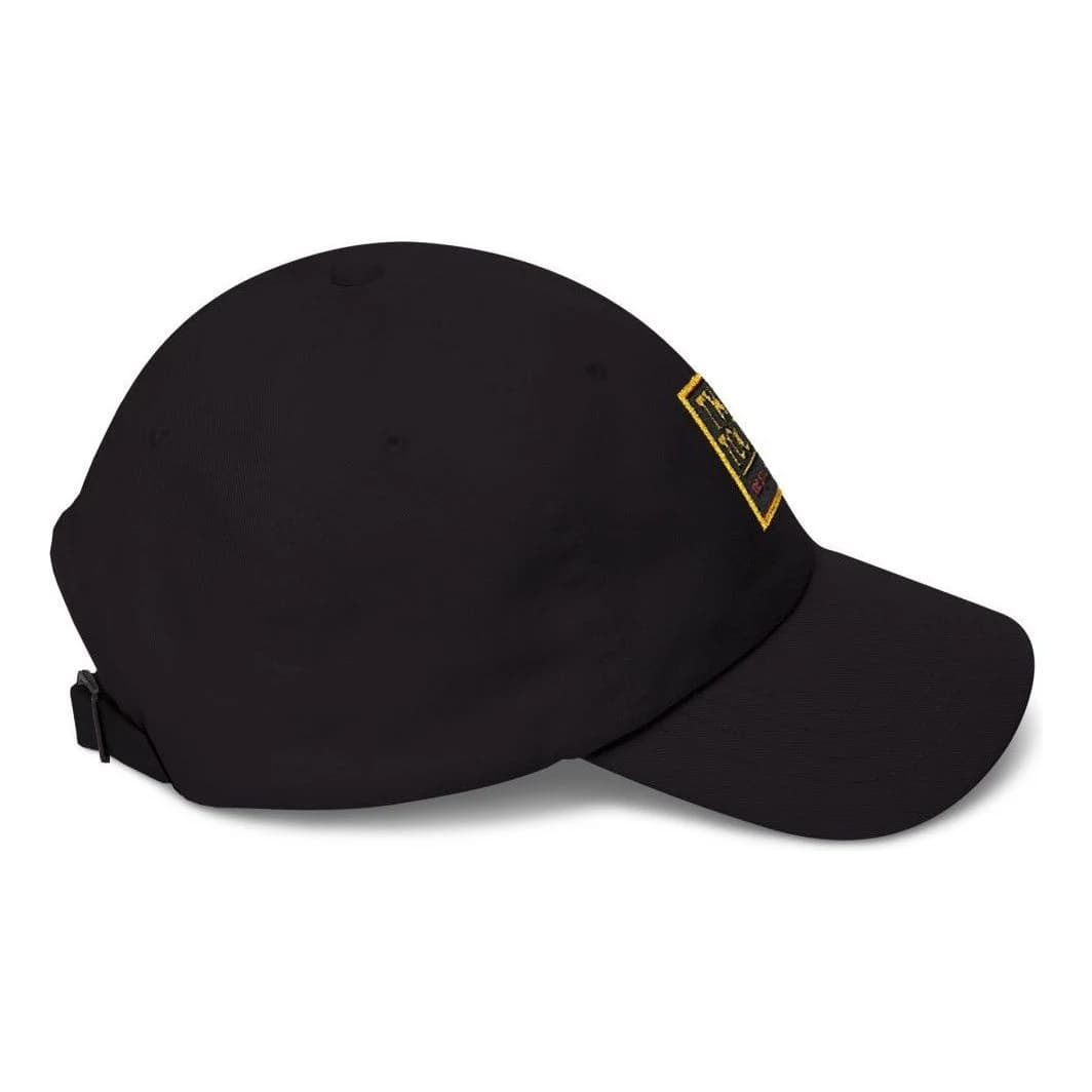Two tours, one good back, Embroidered dad hat